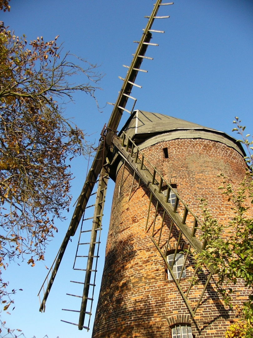 Turmholländer Wöpel, noch immer ruinös